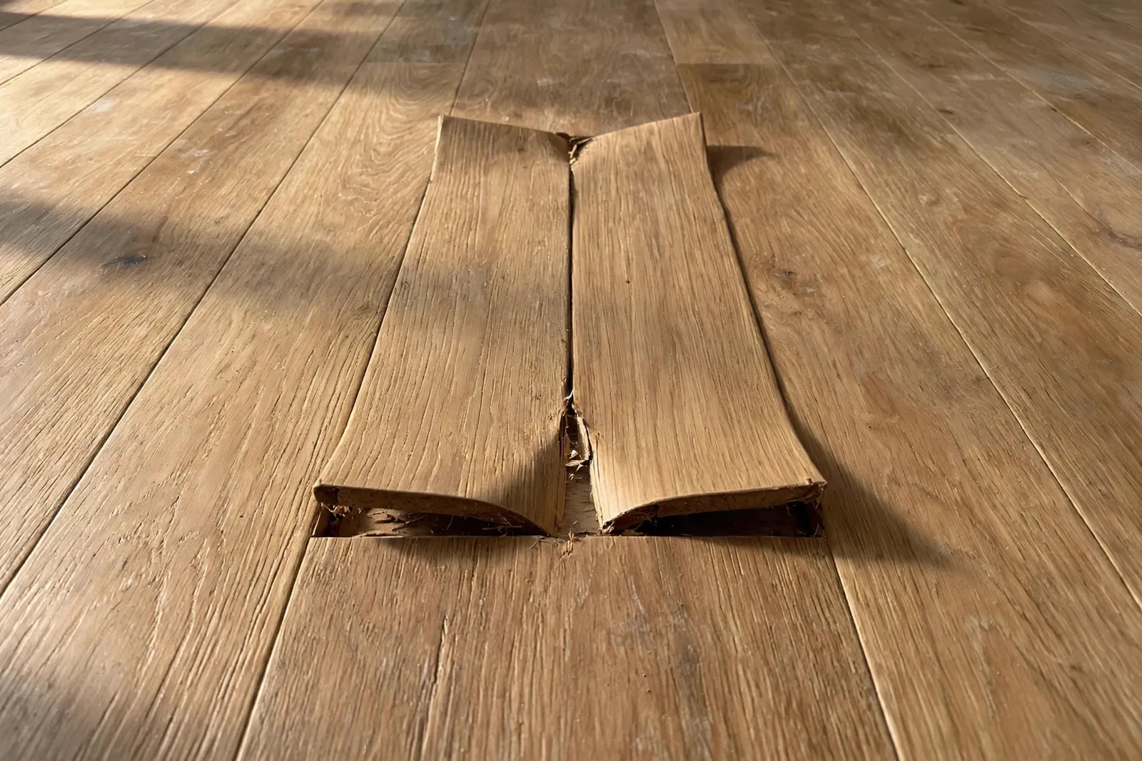 Before photo, Damaged Plank Section in Pinefield, by Waldorf Luxury Vinyl Plank Company